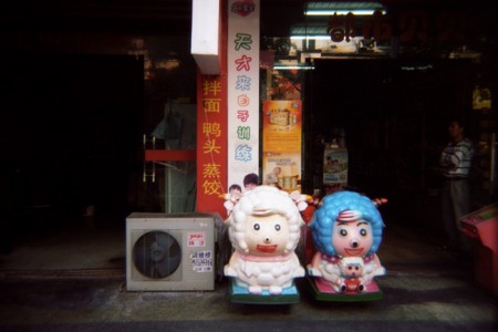 Riding Through Lishui:  The Pleasant Goat Experience